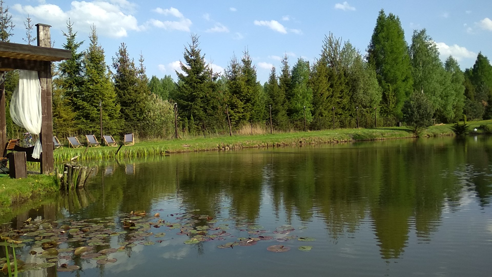 Staw w Tawernie w Pawlikowicach - leżaki, pergola z białymi zasłonami, las wokół